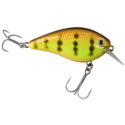 Strike King Hard Knock KVD Square Bill Crankbait Chartreuse Perch