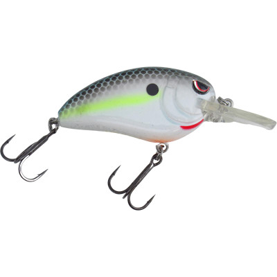 SPRO Rattling Little John MD Type R 50 Crankbait Nasty Shad