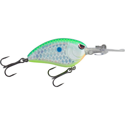 SPRO Little John Micro DD 45 Crankbait Citrus Shad