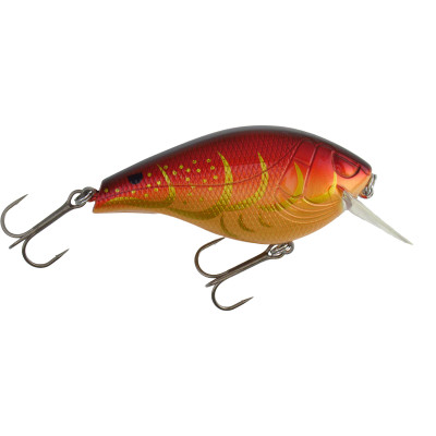 Closer Look at the Spro Essential Hunter 65 Squarebill Crankbait