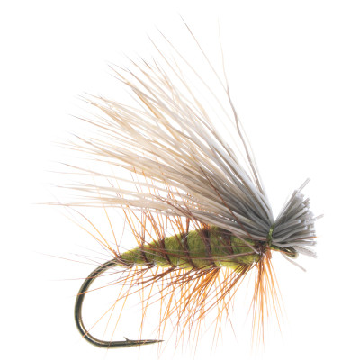 Elk Hair Caddis Dry Fly - 2 Pack Olive