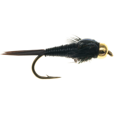 Bead Head Copper John Nymph - 2 Pack Black