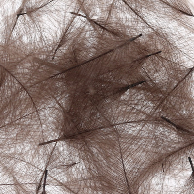 Wapsi CDC Cul De Canard Feathers Natural Dun - Dyed