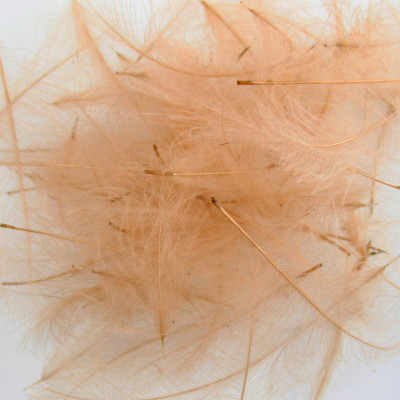 Wapsi CDC Cul De Canard Feathers Tan