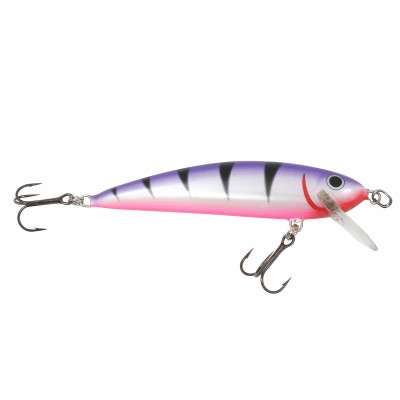 Northland Rumble Shiner Crankbait Purple Tiger