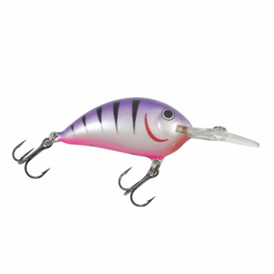 Northland Rumble Bug Crankbait Purple Tiger