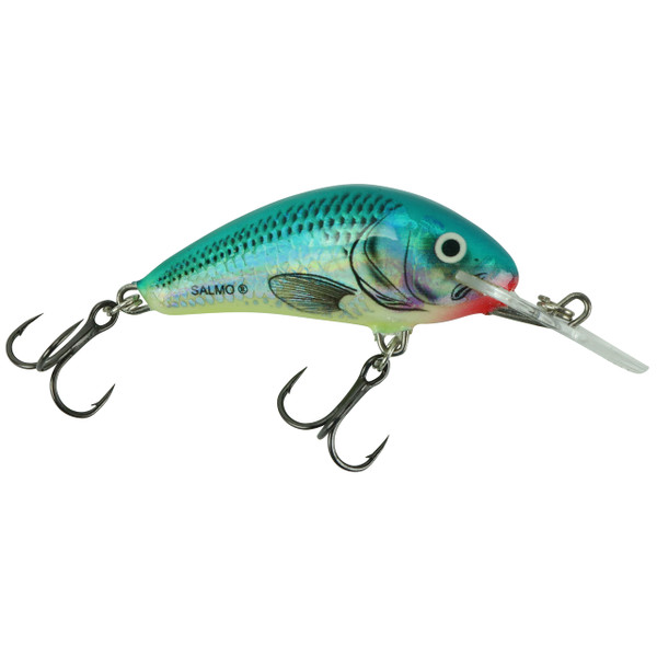 Salmo Floating Hornet Crankbait