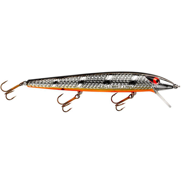 Chrome-Black Back-Orange Belly