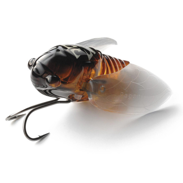 Megabass Grand Siglett Cicada Topwater Bait color Abura Zemi front angle view showing double hook
