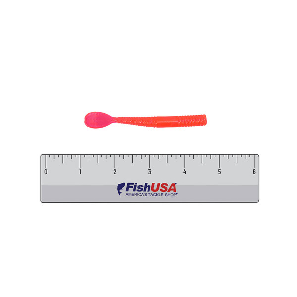 Actual length of the 3.5 inch BnR Tackle Holey Worms compared against a 6 inch ruler