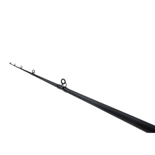 Dobyns Champion XP Casting Rod guides