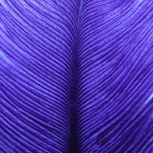 Wapsi Ostrich Herl color Purple