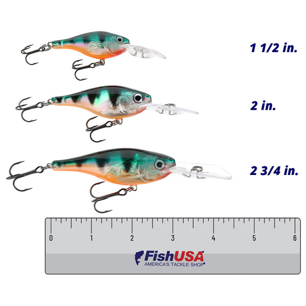 Rapala Glass Shad Rap Glass color Glass Perch in all sizes (1 1/2 in., 2 in., 2 3/4 in.) above a 6 inch FishUSA ruler
