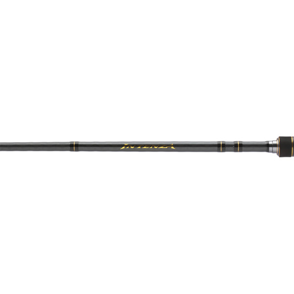 Shimano Intenza Glass Casting Rod blank with the model name logo