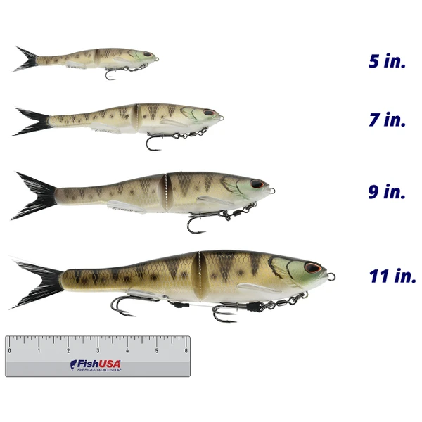 Berkley PowerBait Nessie Glide Bait color Perch in all sizes (5 in., 7 in., 9 in., 11 in.) above a 6 inch FishUSA ruler