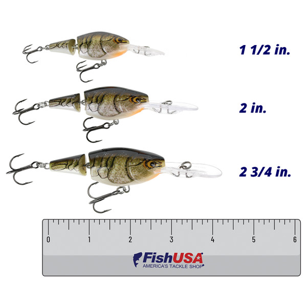 Rapala Jointed Shad Rap color Crawdad in all sizes (1 1/2 in., 2 in., 2 3/4 in.) above a 6 inch FishUSA ruler