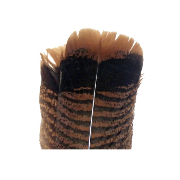 Wapsi Ozark Turkey Tail Feathers color Cinnamon Tip