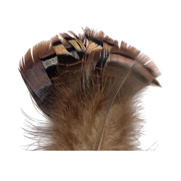 Wapsi Ozark Turkey Tail Feathers color Iridescent Natural