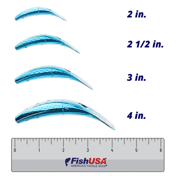 Yakima Bait Spin-N-Fish 2-Pack color Silver Blue Scale in all sizes (2 in., 2 1/2 in., 3 in., 4 in.) above a 6 inch FishUSA ruler