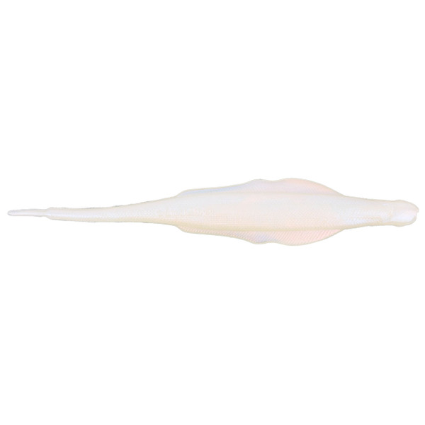 Nories Lady Balance color Albino Pearl