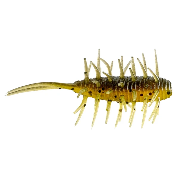 Hideup Coike Original Shrimp color Grasshopper