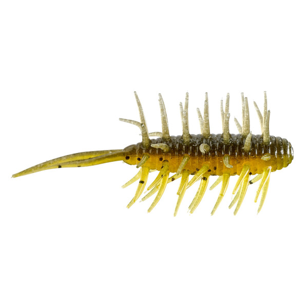 Hideup Coike Medium Shrimp color Grasshopper