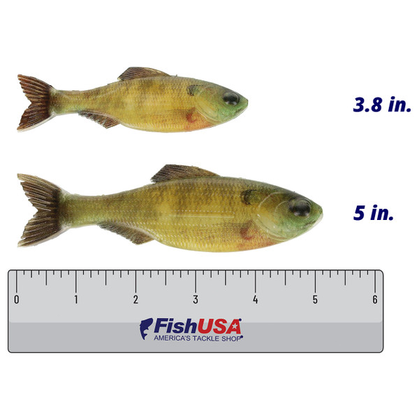 6th Sense Plump Panorama Softbait color Live Bluegill in both sizes (3.8 in., 5 in.) above a 6 inch FishUSA Ruler