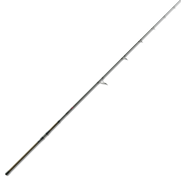 St. Croix Avid Surf Spinning Rod