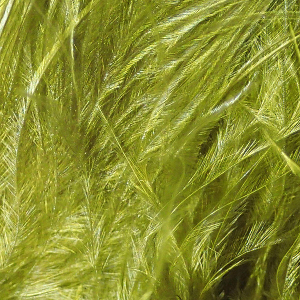 Wapsi Marabou color Olive