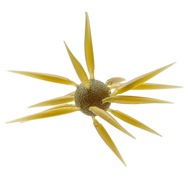 Hideup Coike Fish Elastomer L Urchin Bait color Watermelon