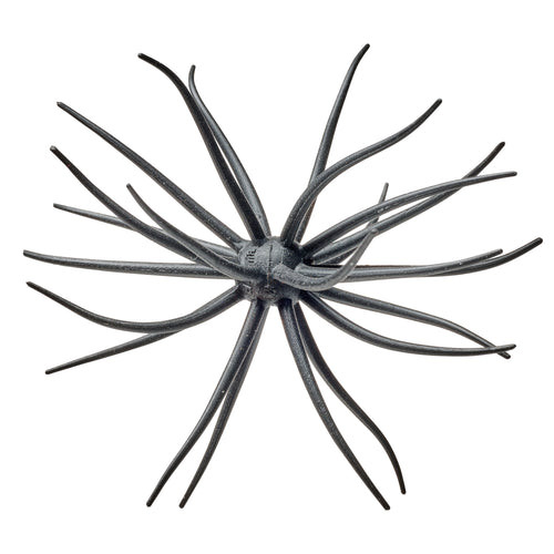 Hideup Kyu Coike Urchin Bait color Black Solid