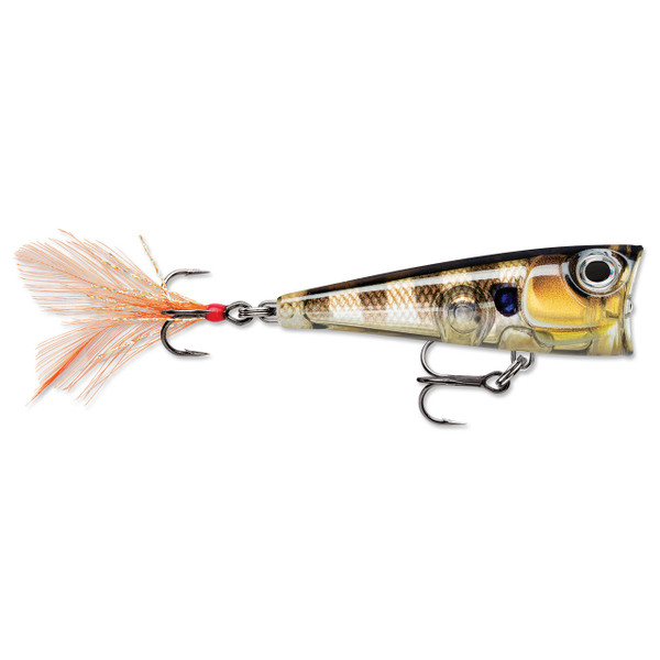 Rapala X-Light Pop color Glassy Gill UV