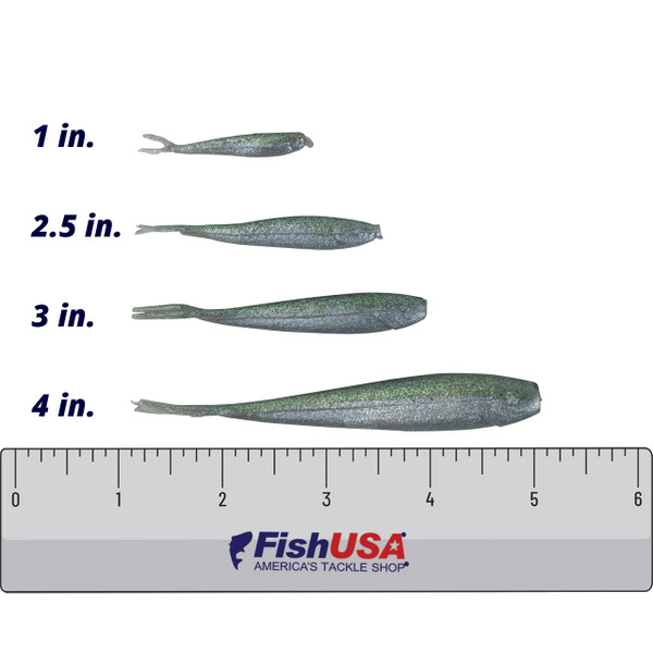 Berkley Gulp! Minnows Green Shiner color with FishUSA Ruler for Size Comparison