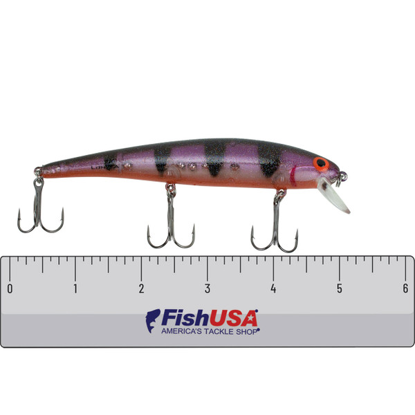 Bomber Long A Lure Exclusive Color - Naked Purple Perch with FishUSA Ruler