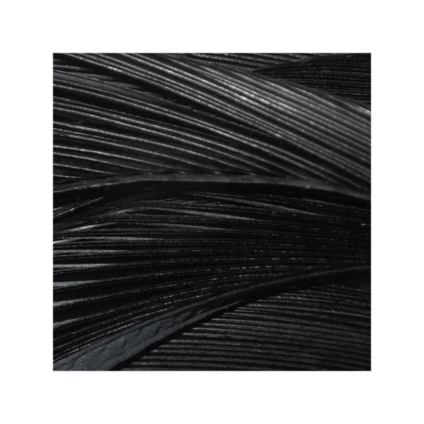 Goose Biots color Black