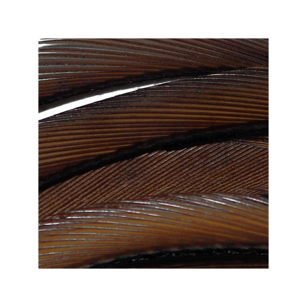 Goose Biots color Brown