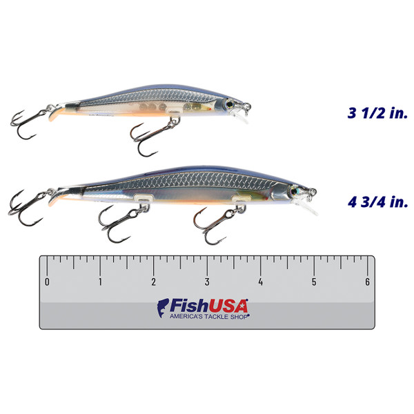 Rapala RipStop Jerkbait color Elite Blue in both sizes (3 1/2 in., 4 3/4 in.) above a 6 inch FishUSA ruler