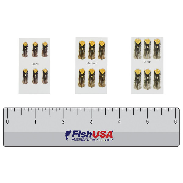 Wapsi Jungle Cock Imitation Eyes in all sizes (small, medium, large) above a 6 inch FishUSA ruler