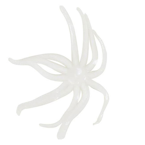 Clam Maki Neki color Glow