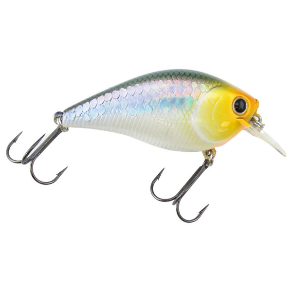 Lucky Craft LC Crankbait color MS Impulse Shad
