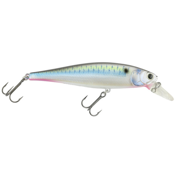Lucky Craft Pointer Jerkbait color Live Threadfin