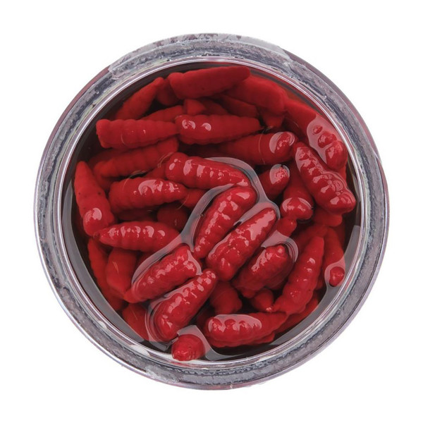 Berkley Gulp! Alive! Waxies color Red Wiggler