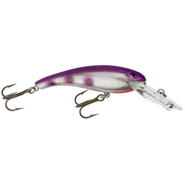 Cotton Cordell Wally Diver color Purple Rain