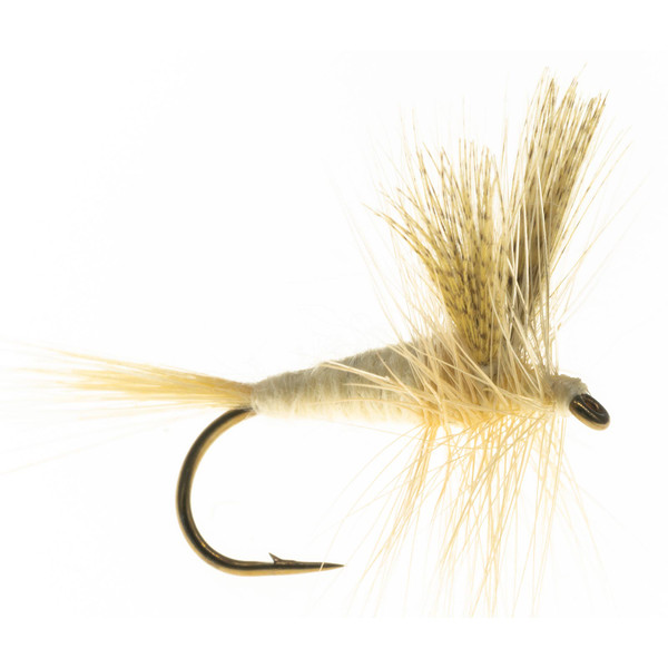 Light Cahill Dry Fly - 2 Pack