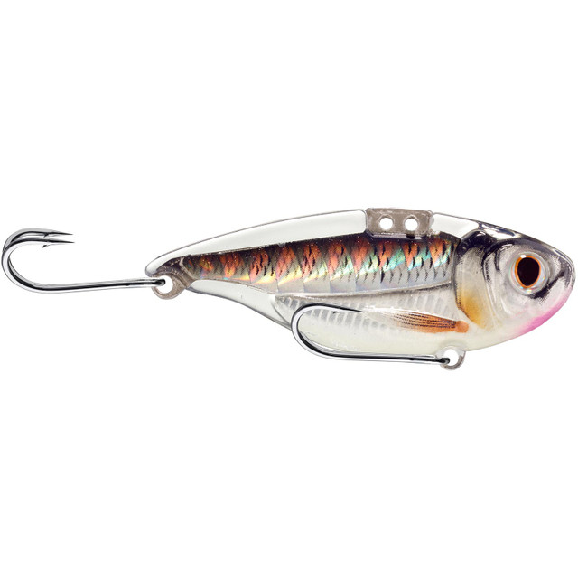 LiveTarget Golden Shiner Rattlebait - Lipless Lures - FISHING-MART