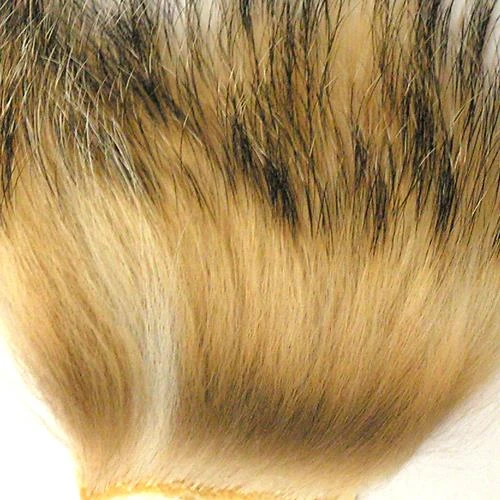 Wapsi Badger Hair
