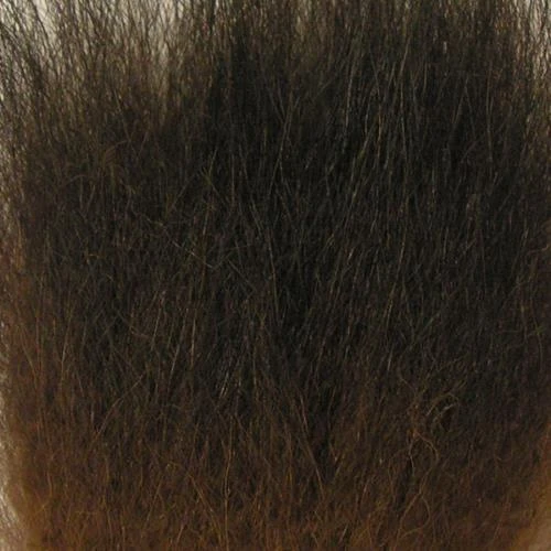 Wapsi Black Bear Hair