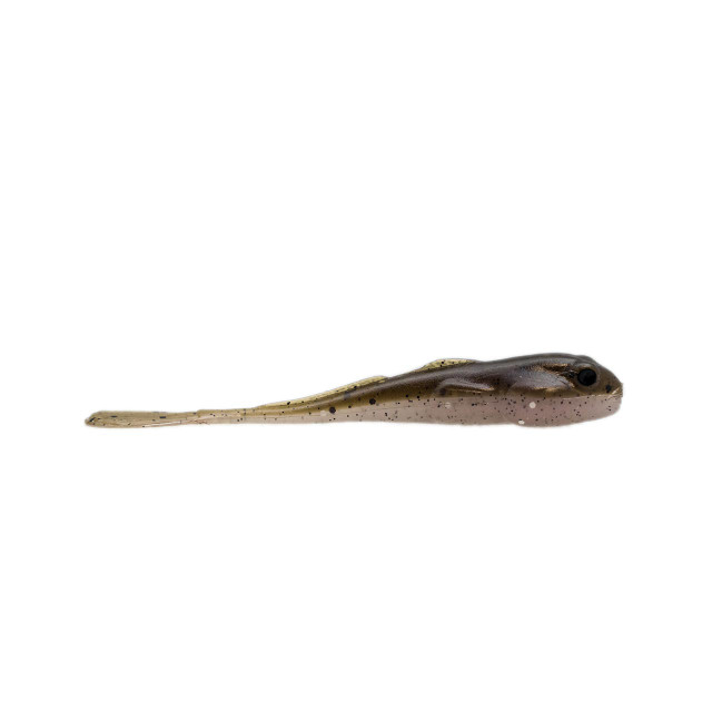 Gajo Spirit Shad Drop Shot Soft Baits | Green Pumpkin-Purple Copper Fleck-Blue Hilite; 3 1/4 in. | FishUSA