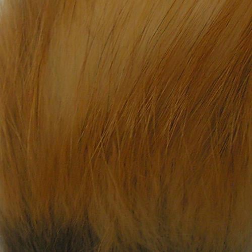 Wapsi Fox Hair color Red Fox