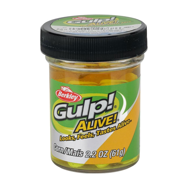 Gulp! Alive!® Angle Worm : : Sports & Outdoors